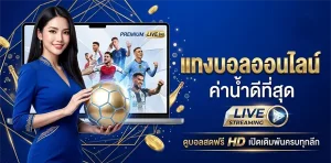 9 เว็บแทงบอล เชื่อถือได้